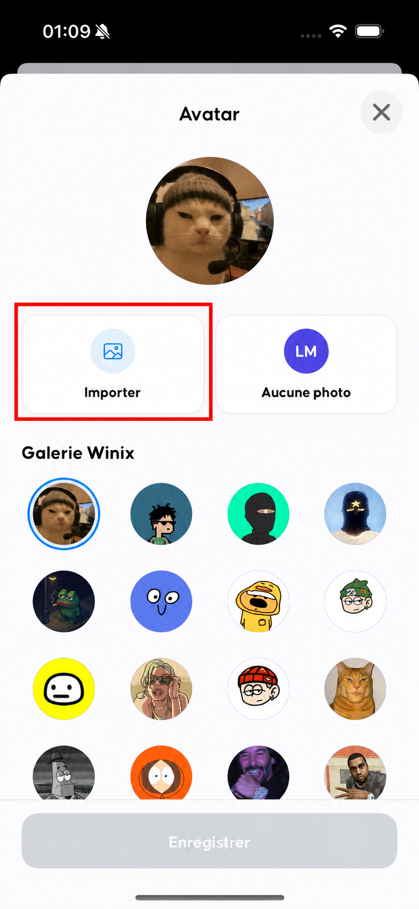 French Avatar screen with a red rectangle around the Importer tile.